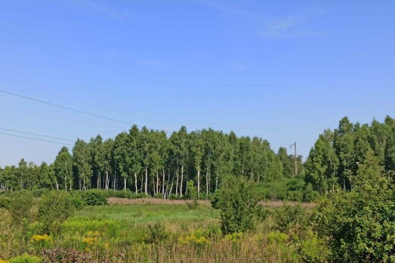 Заказник Білогорща