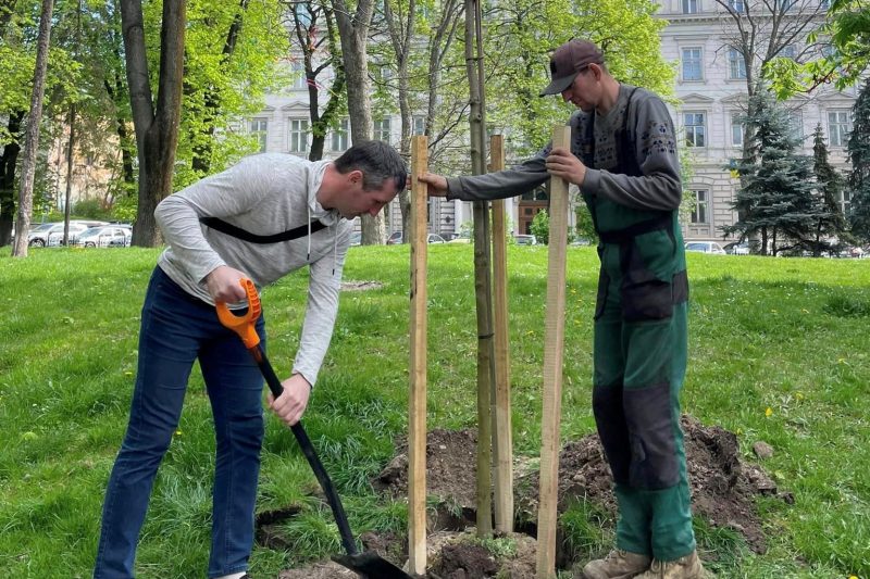Подаруй місту дерево